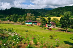 Mong Homestay Resort