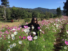 Mong Homestay Resort