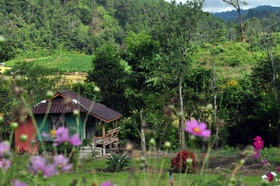 Mong Homestay Resort