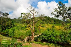 Mong Homestay Resort