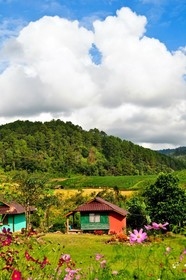 Mong Homestay Resort