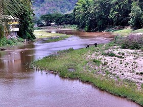 River Bank Resort