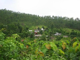 View Point Lodge