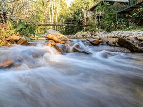 The Stream House