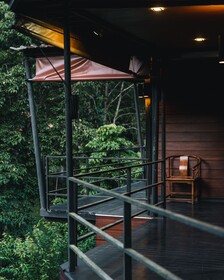 The Stream House
