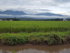 Camp Story Chiangmai