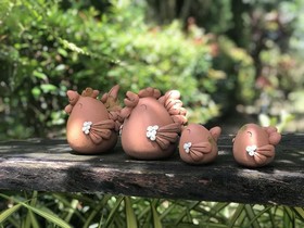 Maerim Country Home Resort