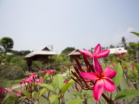 Maerim Country Home Resort