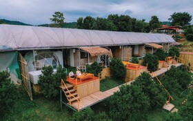 Paopao Orange Farm And Home Stay