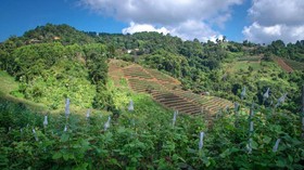 PhuMorkDao Resort