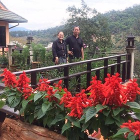 Pong Yang Farm and Resort