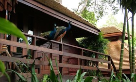 Sukantara Cascade Resort