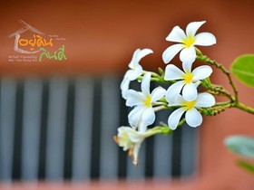 Youdin Kindee Farmstay