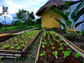 Youdin Kindee Farmstay