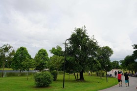 Green View Place
