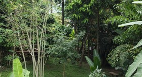 P&P Coffee and Resort