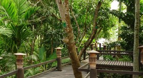 P&P Coffee and Resort