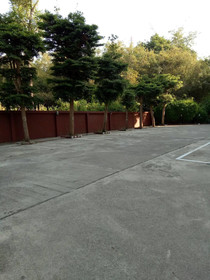 Pongpicha Boutique House