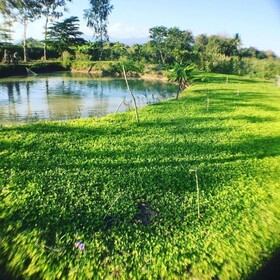 Baan Suan Somseiy W Homestay
