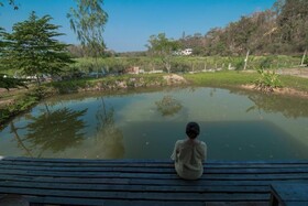 Baan Suan Somseiy W Homestay