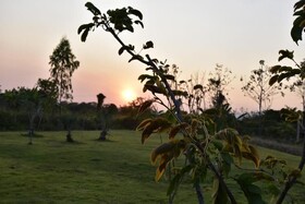 Baan Suan Somseiy W Homestay