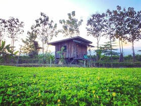 Baan Suan Somseiy W Homestay