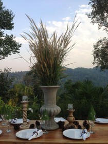 Mok Far Mont Ngo Resort