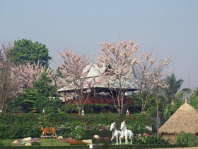 Phusanfah Resort