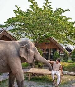 3Pok Resort Maewang Jinxing