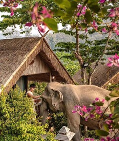 3Pok Resort Maewang Jinxing