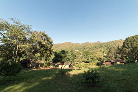 Chiang Mai Elephant Friends