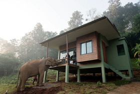 Chiang Mai Elephant Friends