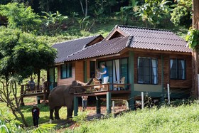 Chiang Mai Elephant Friends
