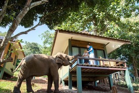 Chiang Mai Elephant Friends