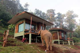 Chiang Mai Elephant Friends