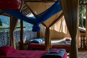 The Mothership Hostel
