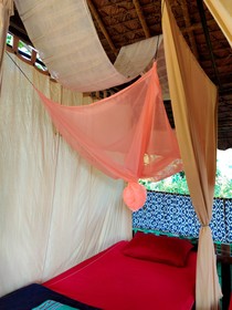 The Mothership Hostel