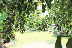 NanRimnam