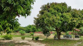 Kalae Resort