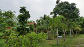 Kalae Resort