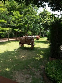 Wangpai Resort