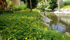 Wangpla Villa Resort