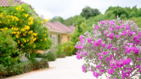 Wangpla Villa Resort