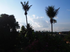 Nan Guest House
