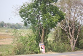 Rapeepong Resort Nanthai