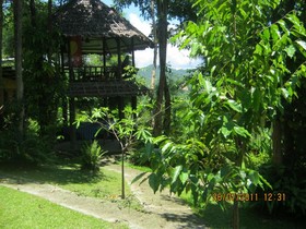 Amy's Earth House