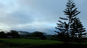 At Pai Resort