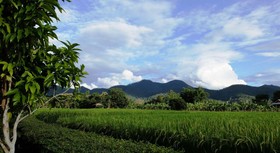 At Pai Resort