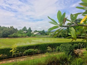 At Pai Resort