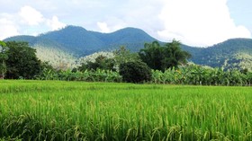 At Pai Resort